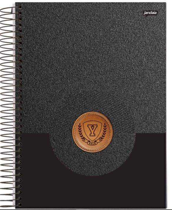 CADERNO ESPIRAL 1/4 CD YALE 